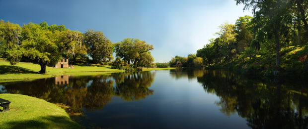 Rice Mill Pond landscape at Middleton Place.jpg